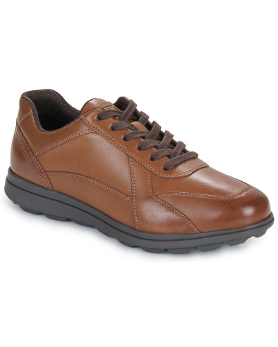 Baskets basses hommes Geox U SPHERICA EC12 Marron