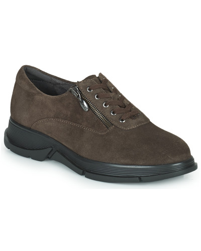 Baskets basses femmes Scholl BRISTOL ZIP Marron