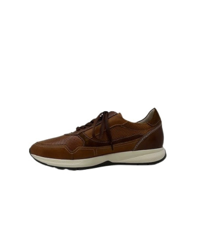 CHAUSSURES PIKOLINOS M2B-6263C1