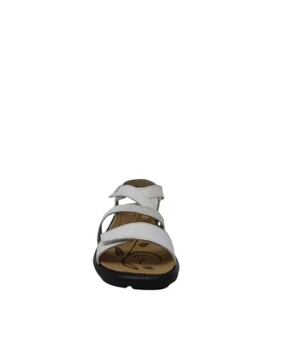 CHAUSSURES JOSEF SEIBEL ANNECY 12