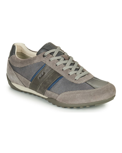 Baskets basses hommes Geox U WELLS C Gris