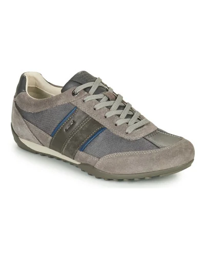 Baskets basses hommes Geox U WELLS C Gris