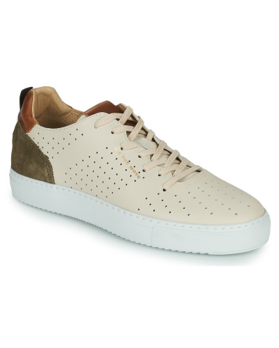 Baskets basses hommes Carlington FREDDI Beige