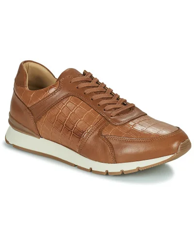 Baskets basses hommes Pellet MAXIM Marron