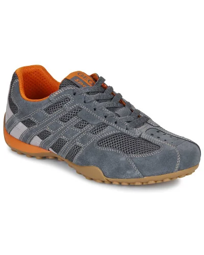 Baskets basses hommes Geox U SNAKE ORIGINAL Gris