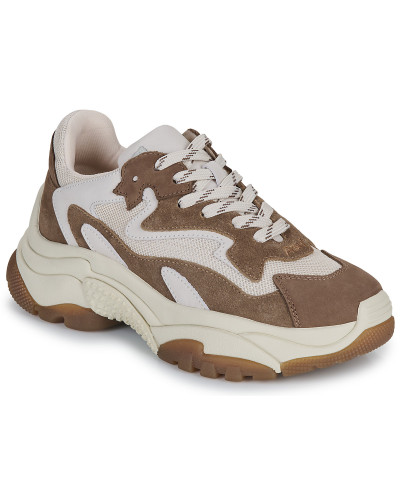 Baskets basses femmes Ash ADDICT Marron