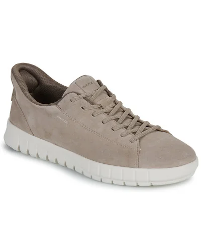 Baskets basses hommes Geox U FLEXTRIDE PLUS Beige