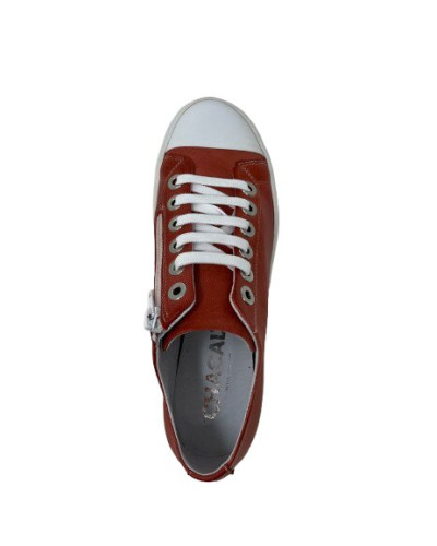 CHAUSSURES CHACAL 7501