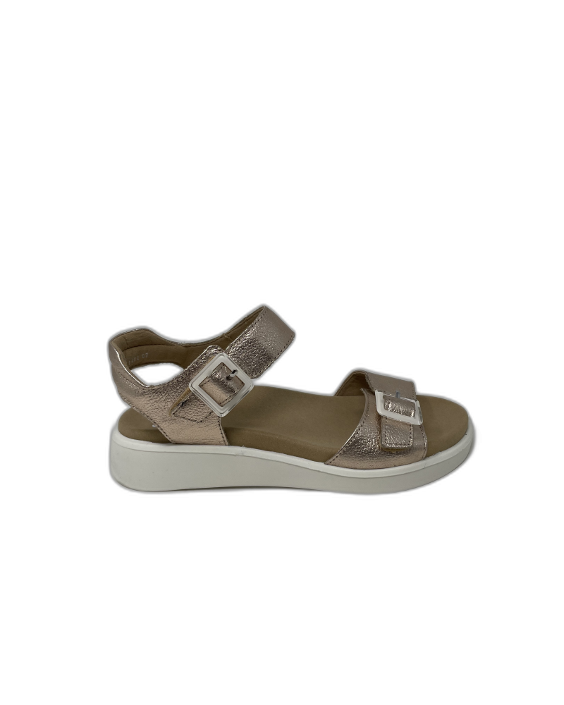 CHAUSSURES ARA 21402