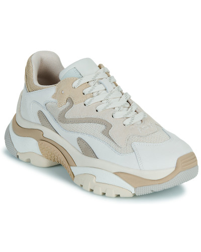 Baskets basses femmes Ash ADDICT