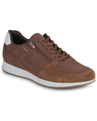 Baskets basses hommes Geox U AVERY Marron
