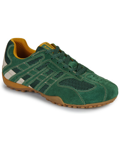 Baskets basses hommes Geox U SNAKE ORIGINAL Vert