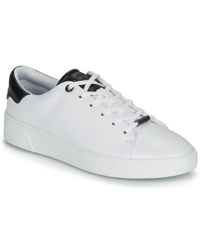 Baskets basses femmes Ted Baker ZENIB Blanc