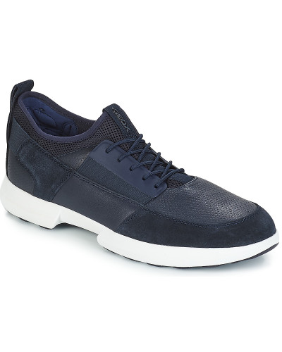 Baskets basses hommes Geox TRACCIA Bleu