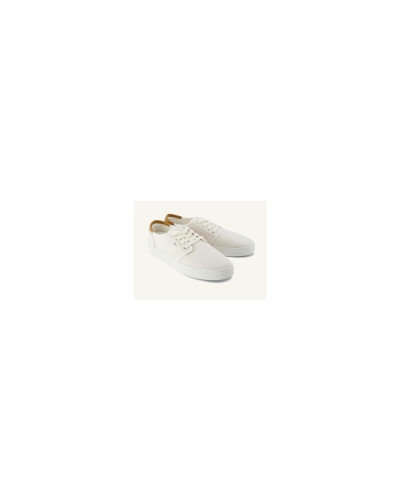 Baskets basses hommes Toms CARLO Beige