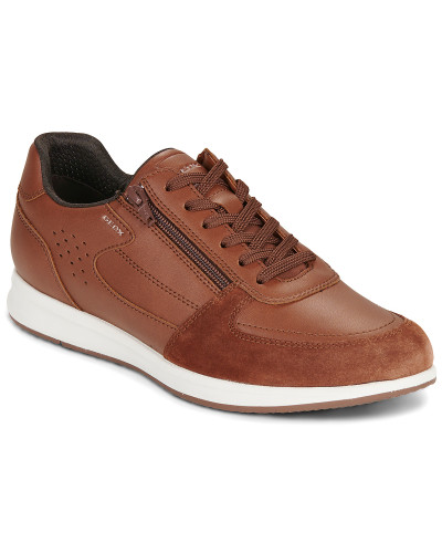 Baskets basses hommes Geox U AVERY Marron