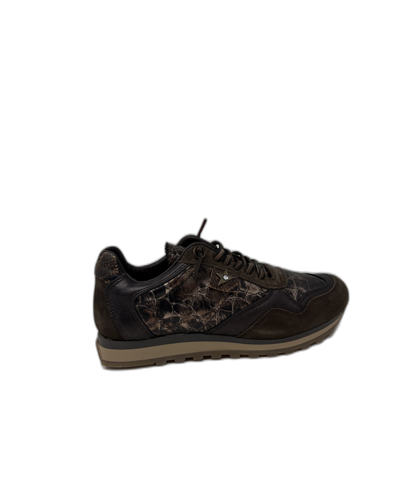 CHAUSSURES CETTI C-848