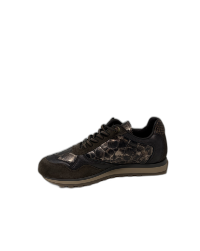 CHAUSSURES CETTI C-848