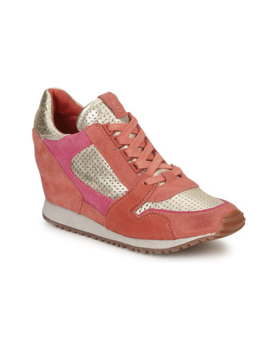 Baskets basses femmes Ash DEAN BIS Doré