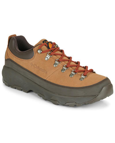 Baskets basses hommes Columbia NEWTON ALPINE LOW Marron